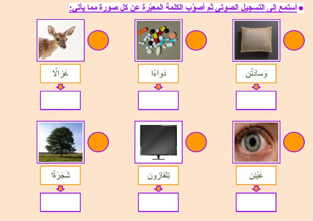 صحة الرسم الهجائي - التنوين (٣)