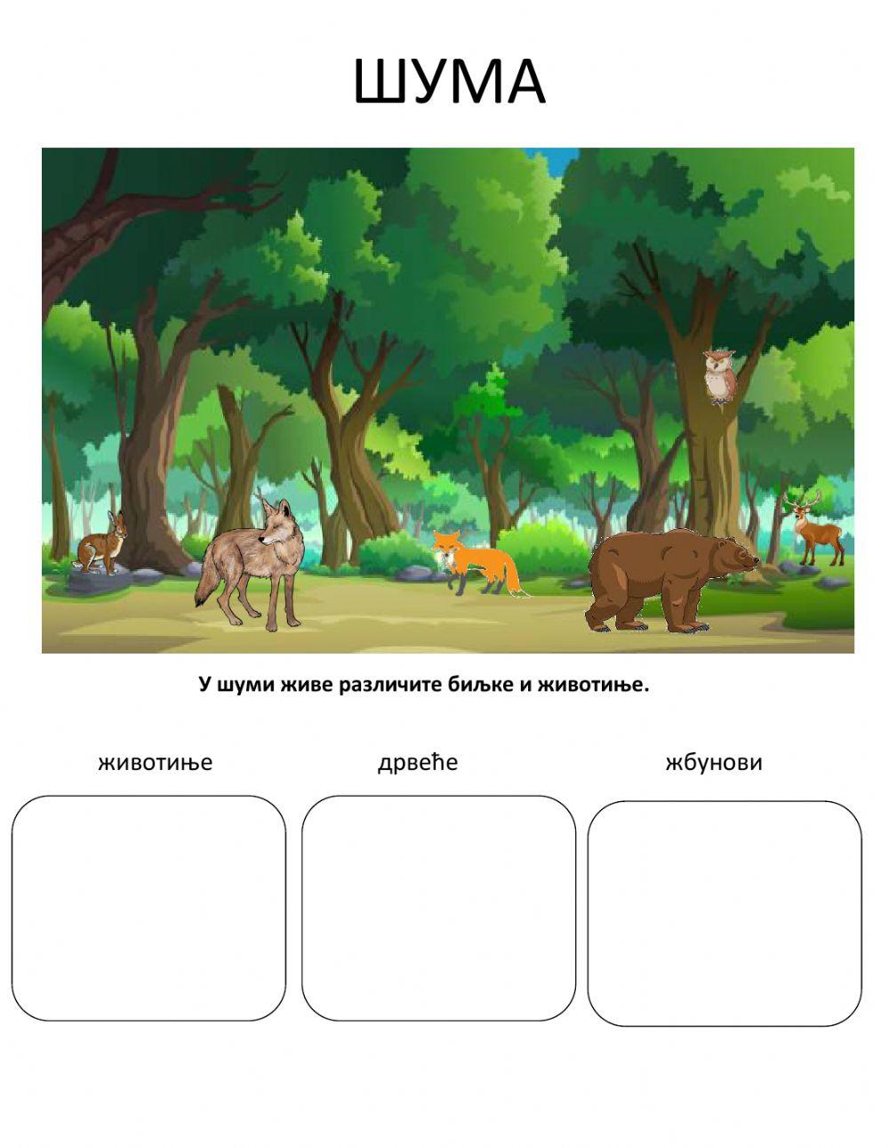 Zivotne zajednice-suma