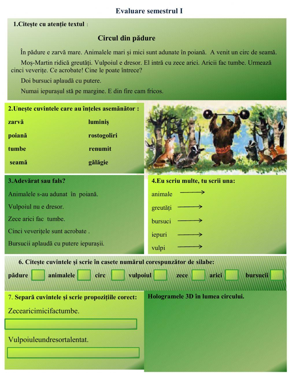 Evaluare semestrul I