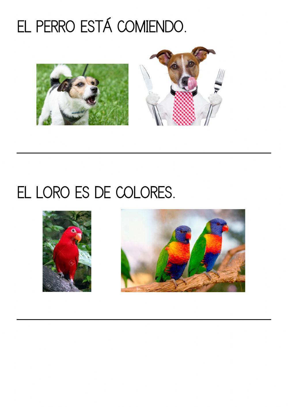 Comprensión lectora mayúsculas