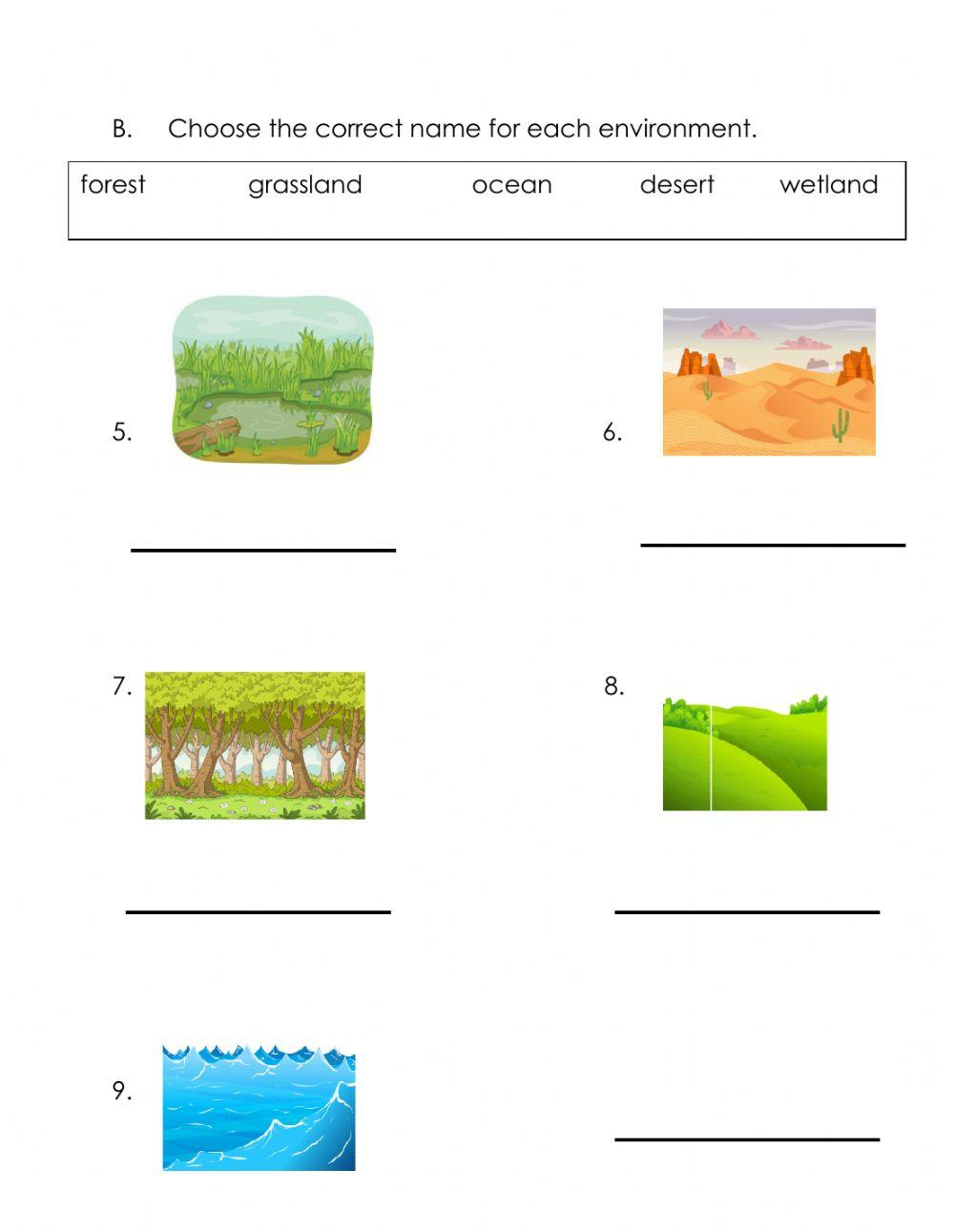 667700 types of environments sbrath liveworksheets