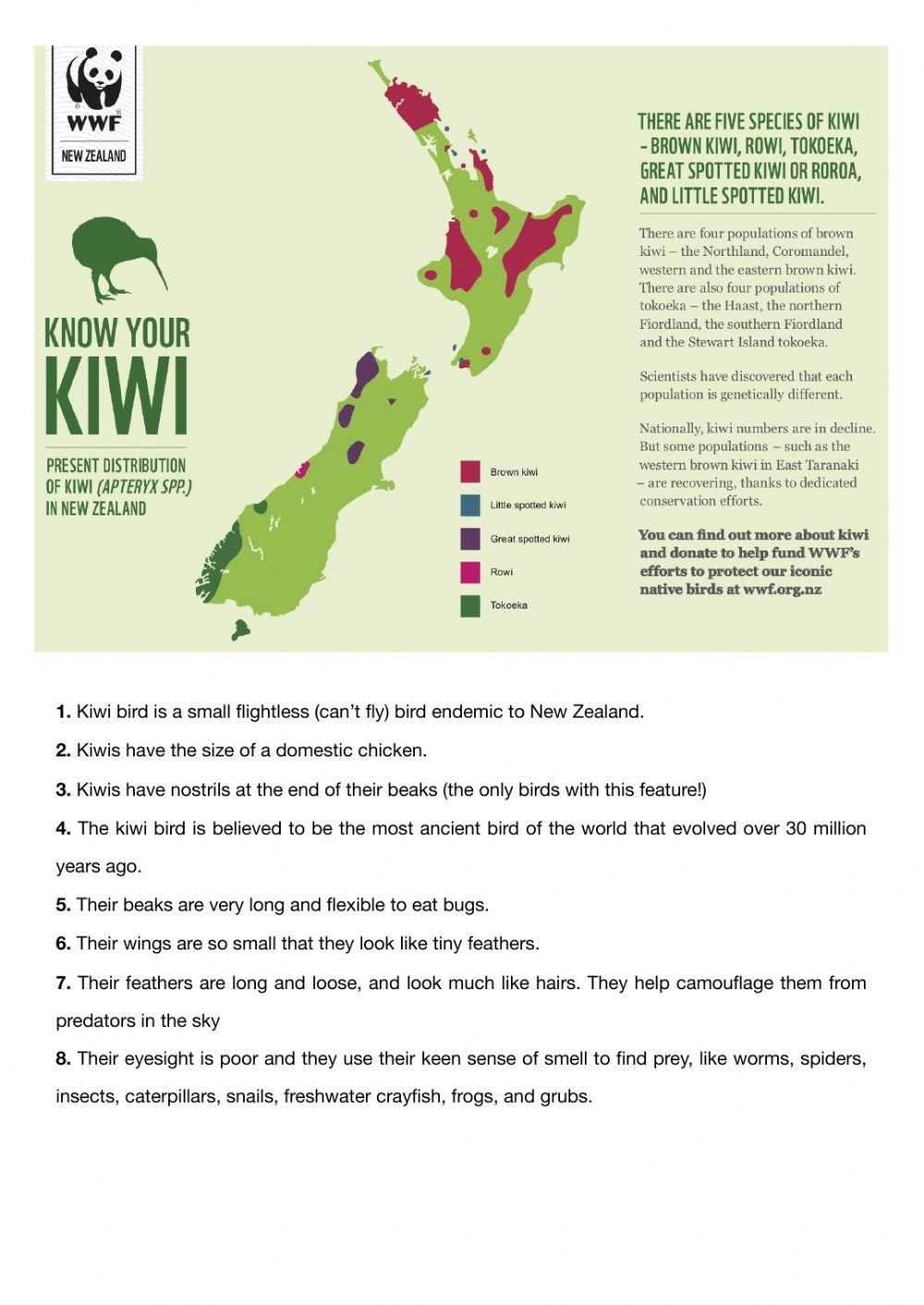 Kiwi - Activities 1.1