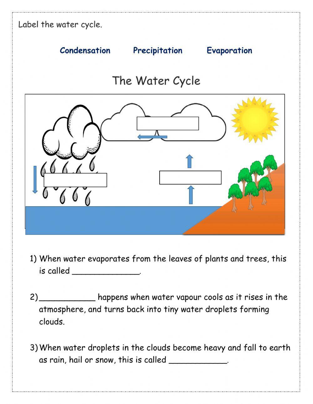 The Water Cycle The Water Cycle