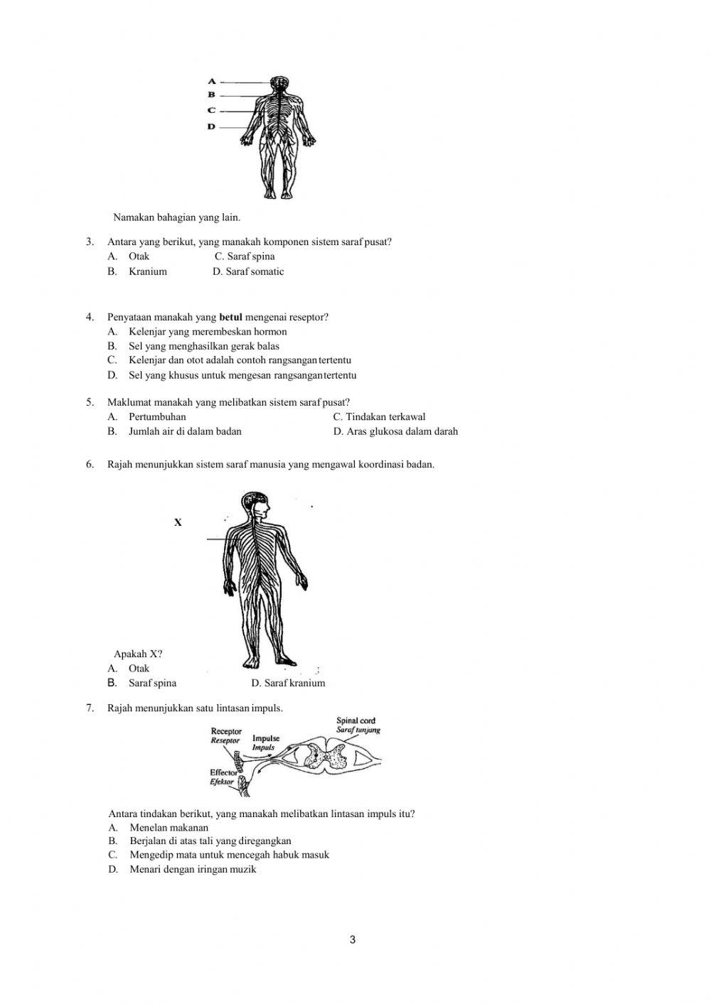 1.1  sistem saraf manusia