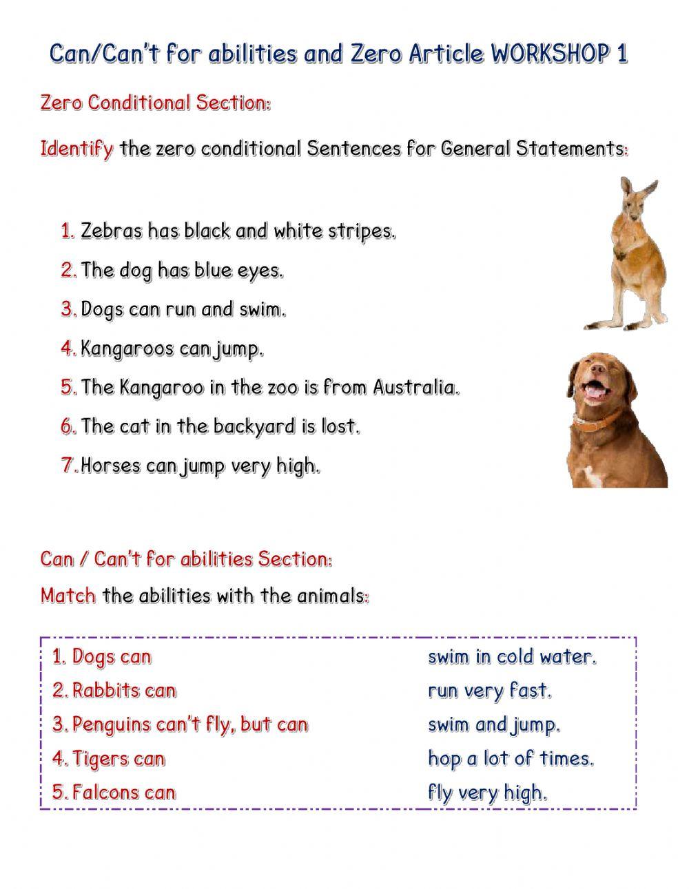 Workshop 1 Can-Can't