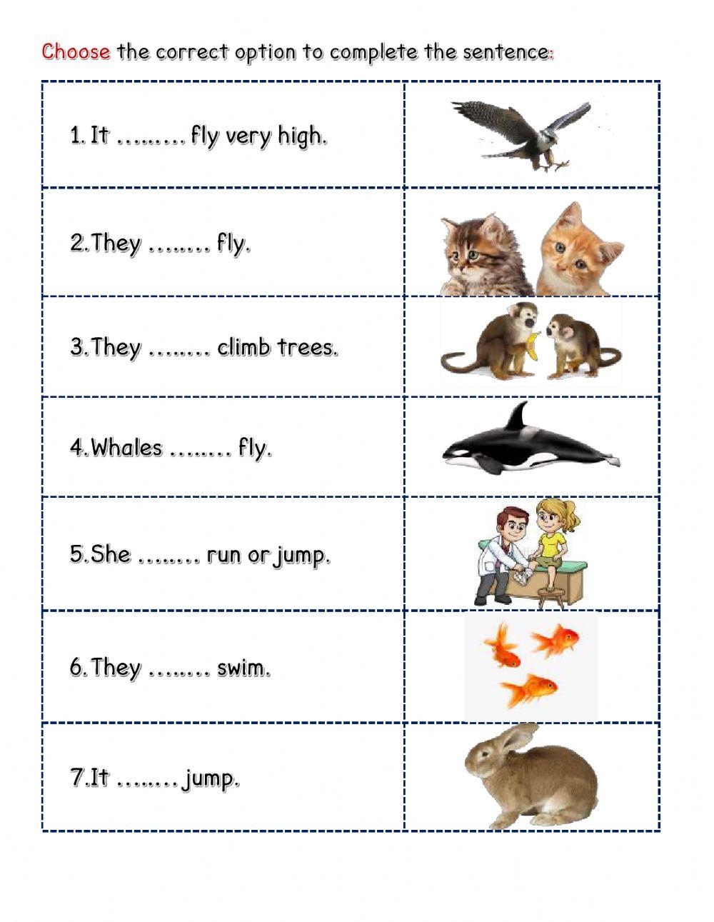 Workshop 1 Can-Can't