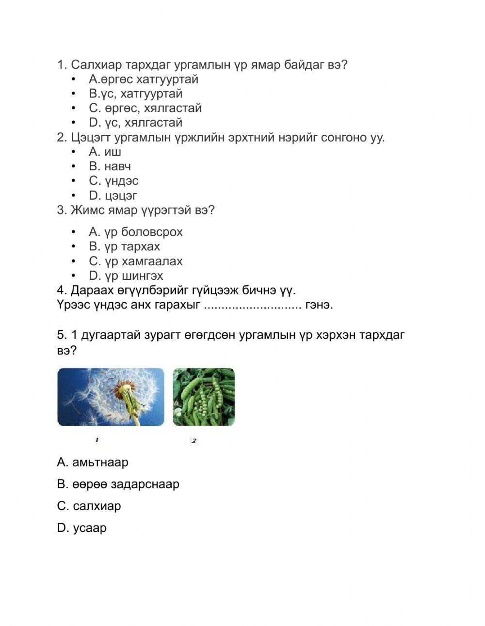 Хүн ба байгаль цэцэгт ургамал нэгж worksheet | Live Worksheets