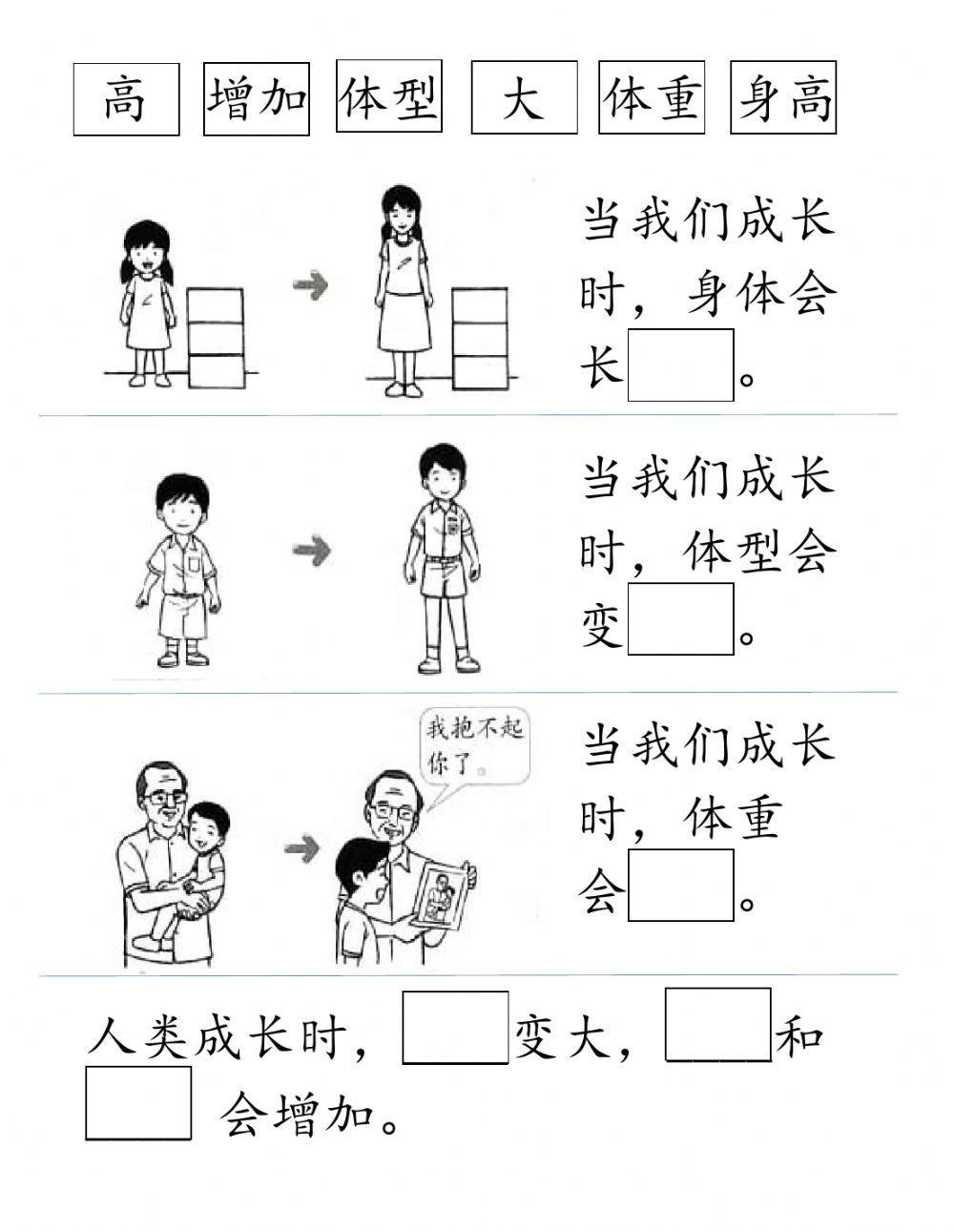 二年级科学人类的成长