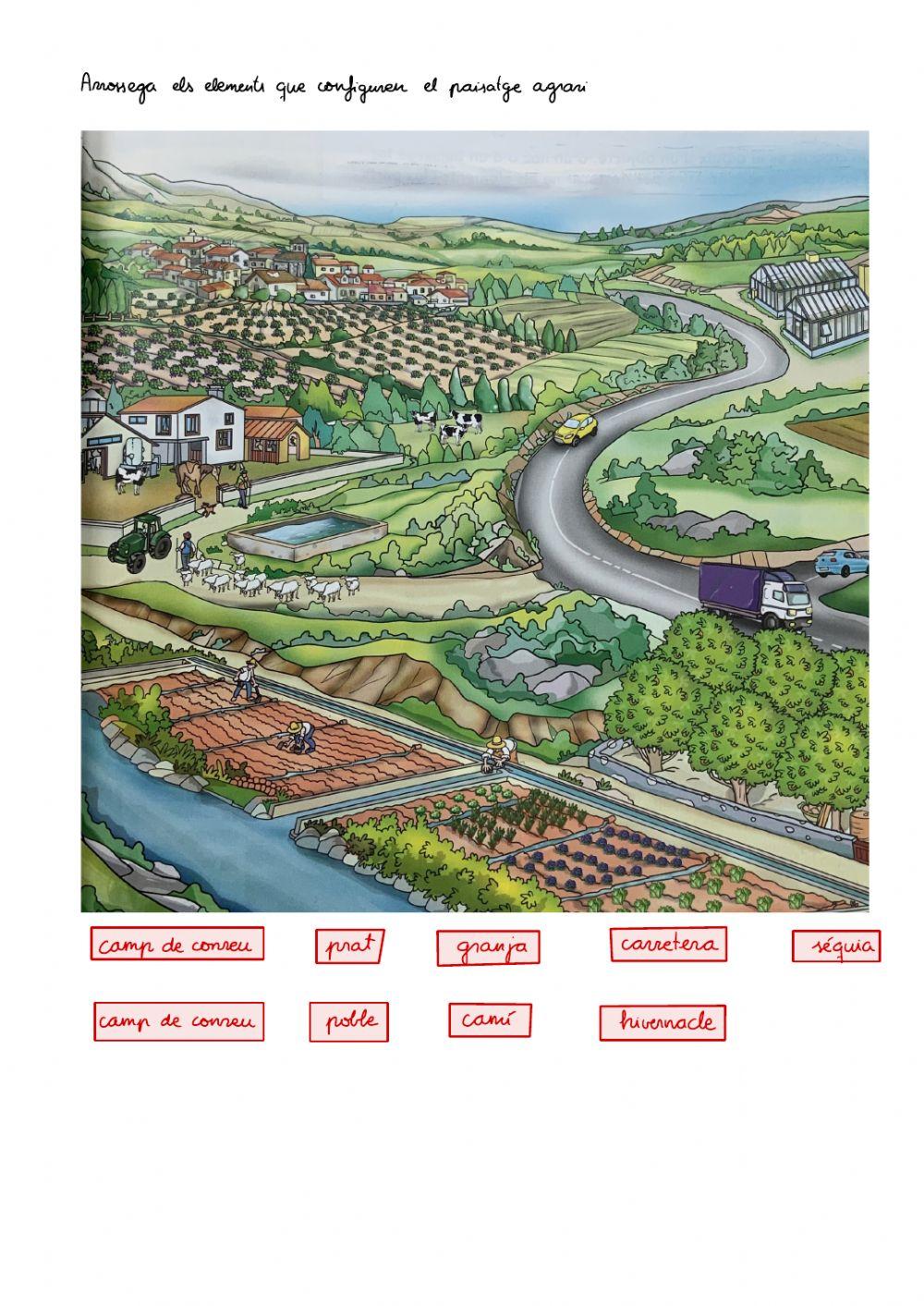 Elements del paisatge agrari