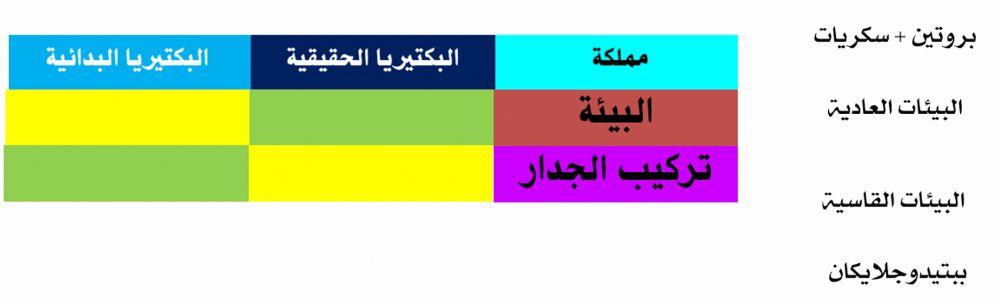 تصنيف البكتيريا