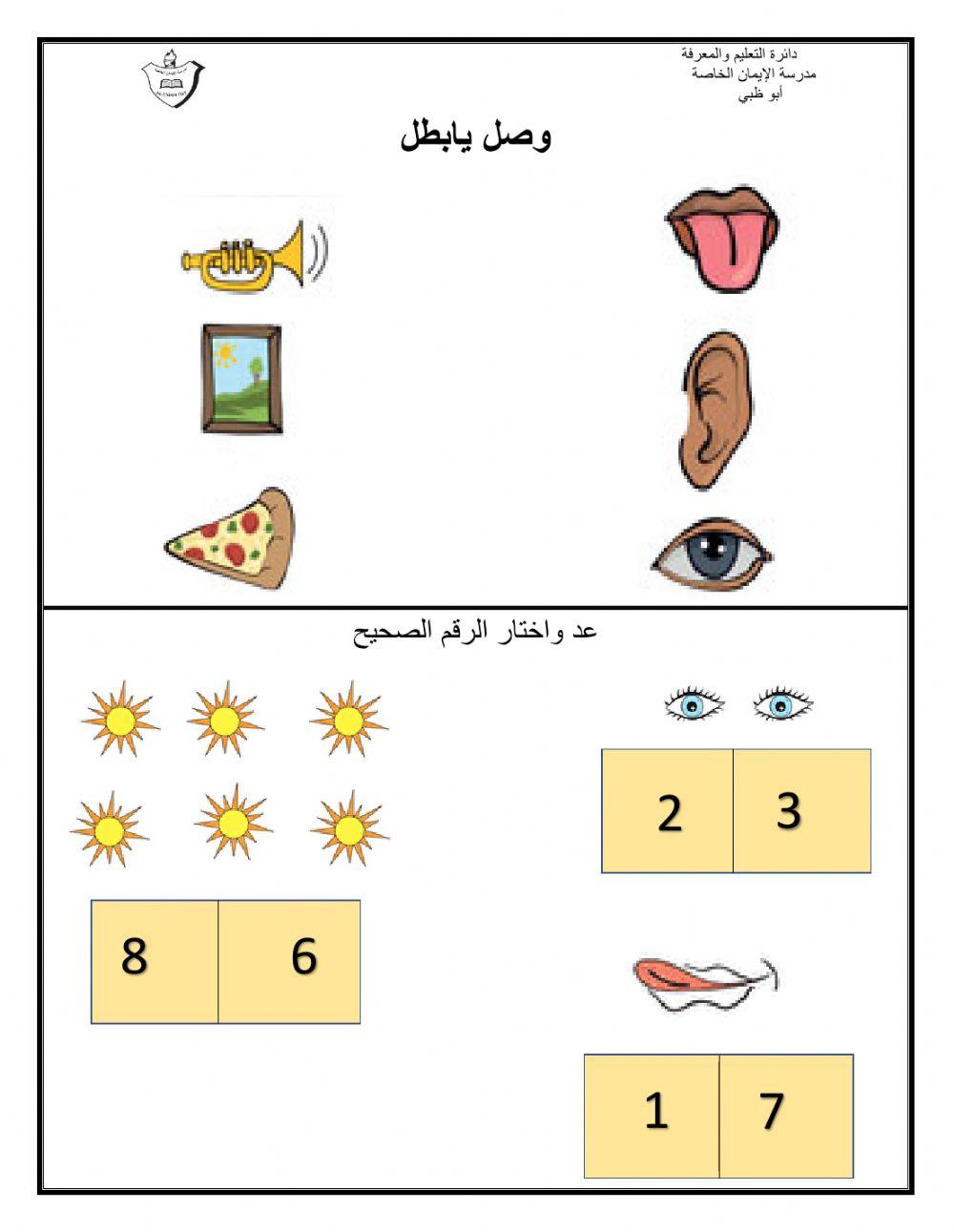 ورقة الحواس