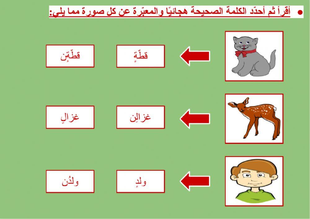 صحة الرسم الهجائي - التنوين بالكسر (٢)