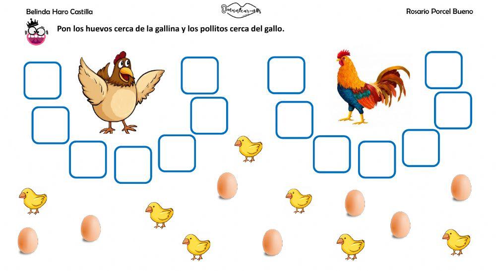 Conceptos básicos: cerca