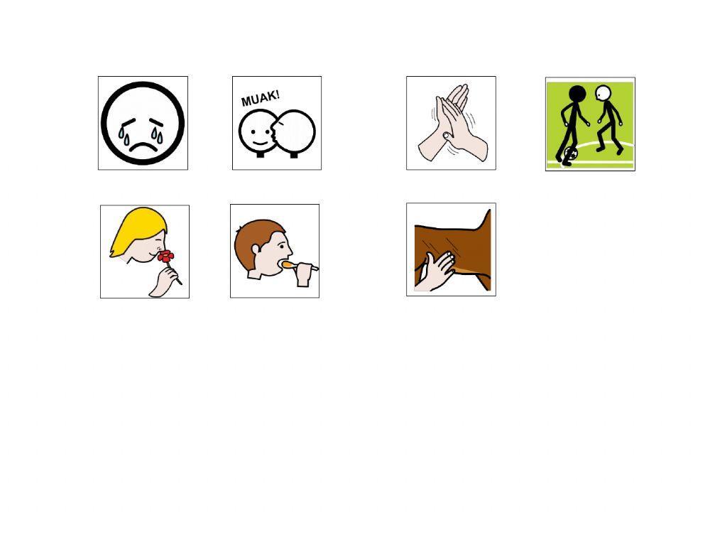 Material Teacch cuerpo humano acciones