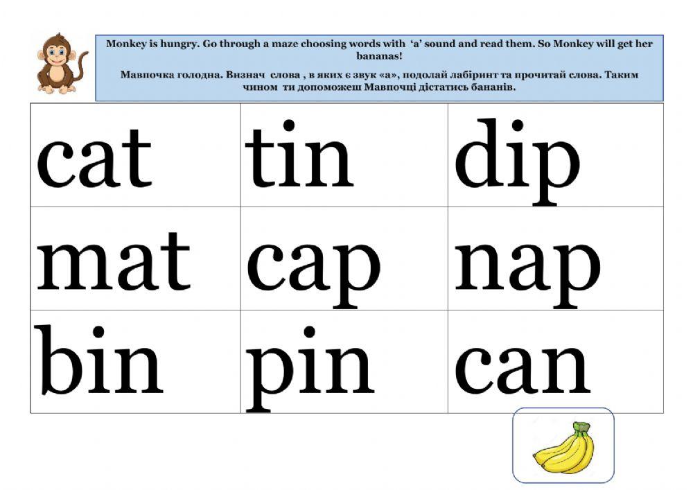 Reading Maze -a-- -i- sounds