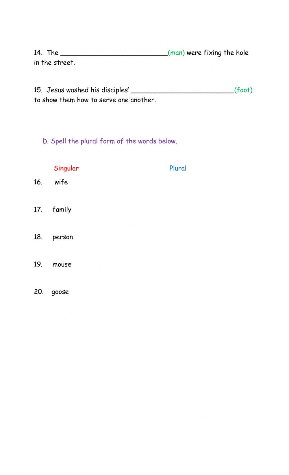 Irregular Plural Nouns