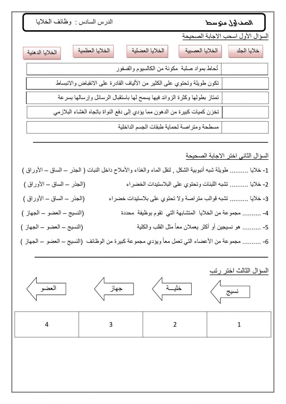 الدرس السادس :  وظائف الخلايا