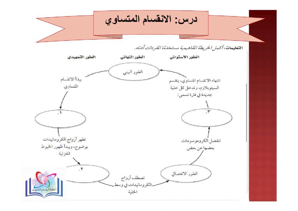 انقسام الخلية