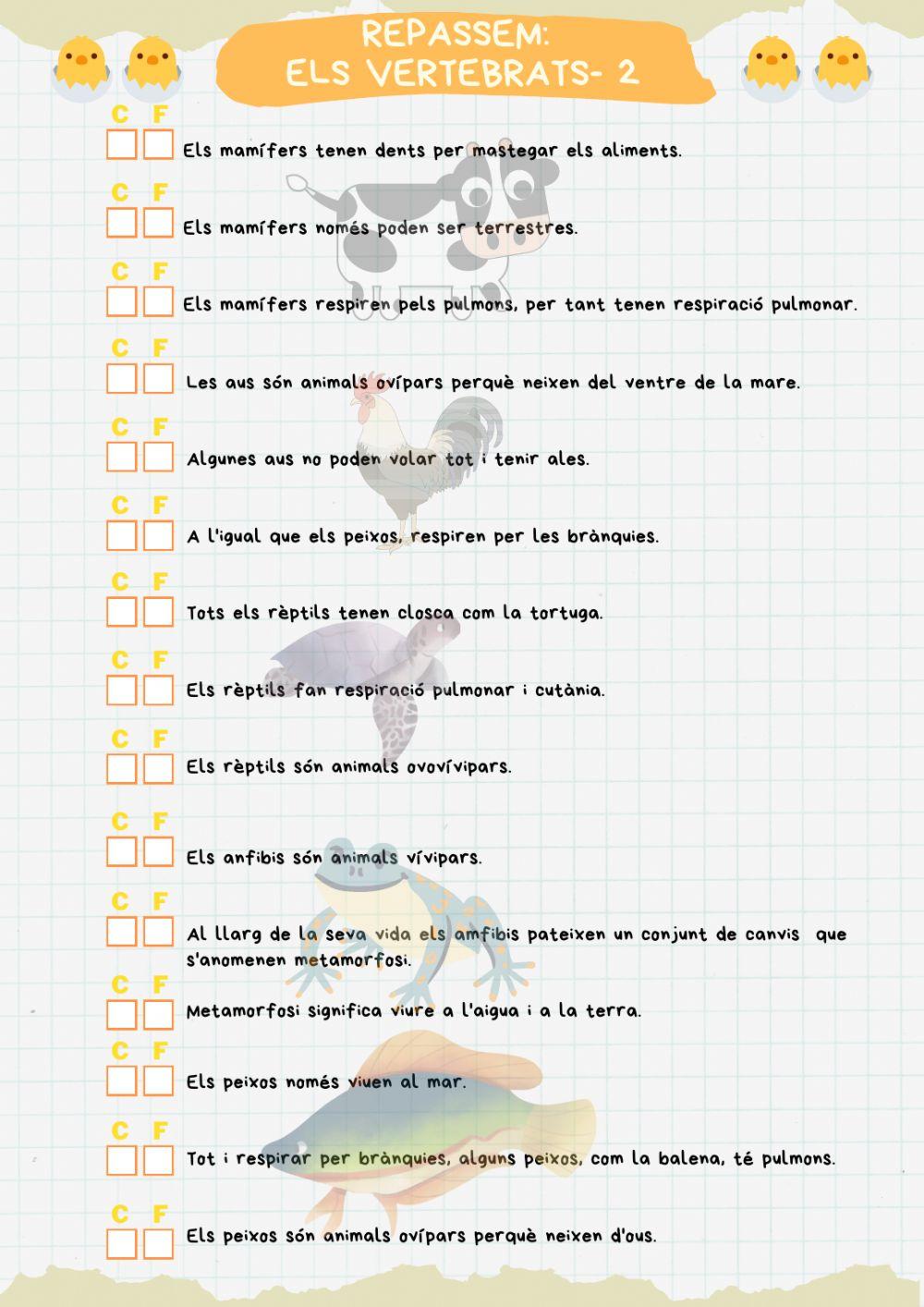 Repàs els Vertebrats -2