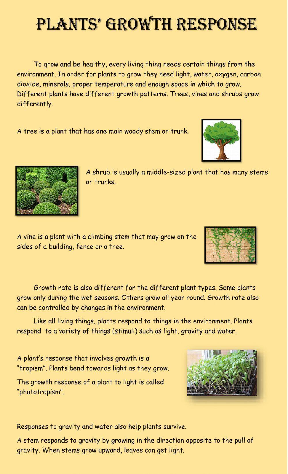 Plant Growth and Response