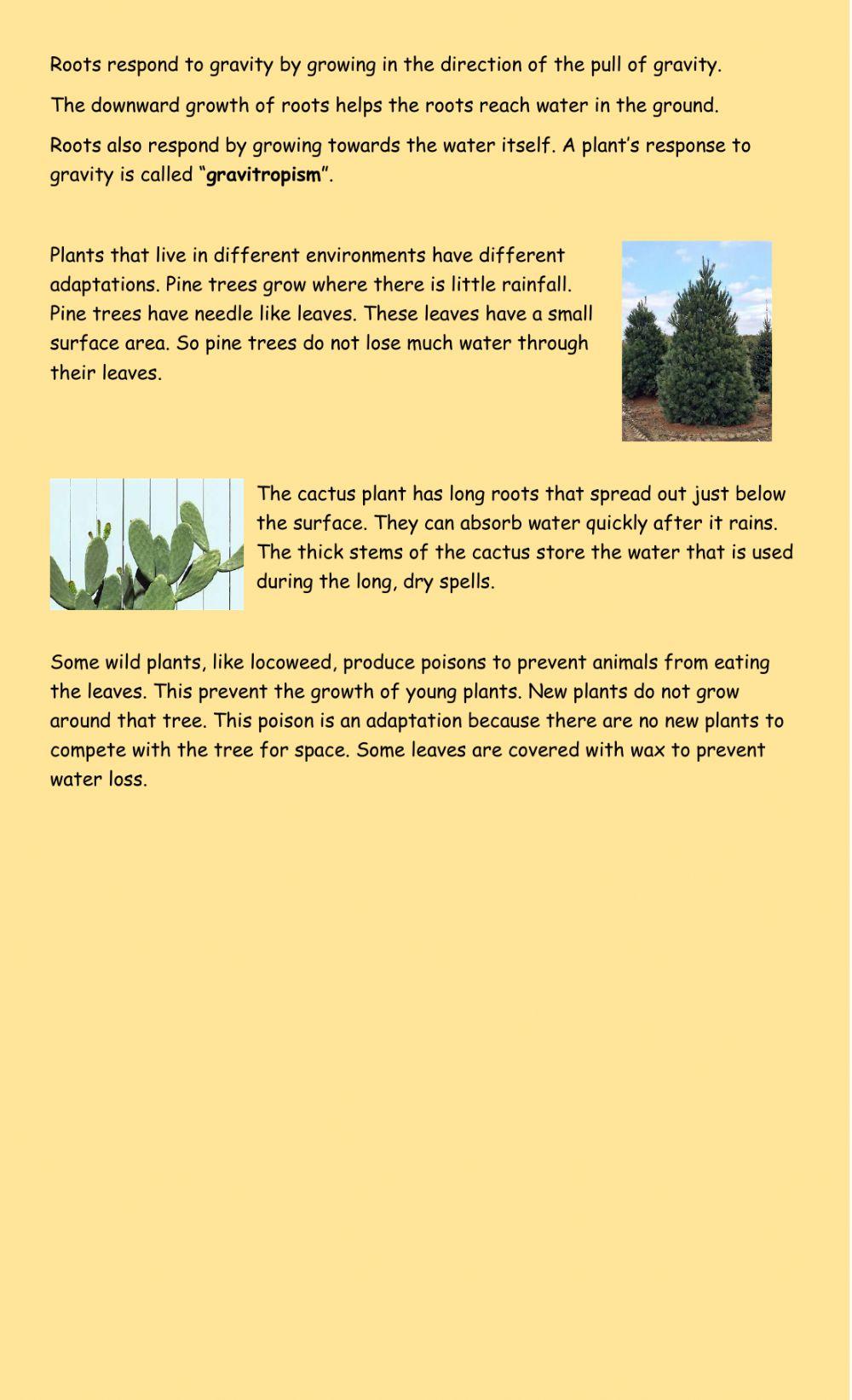 Plant Growth and Response