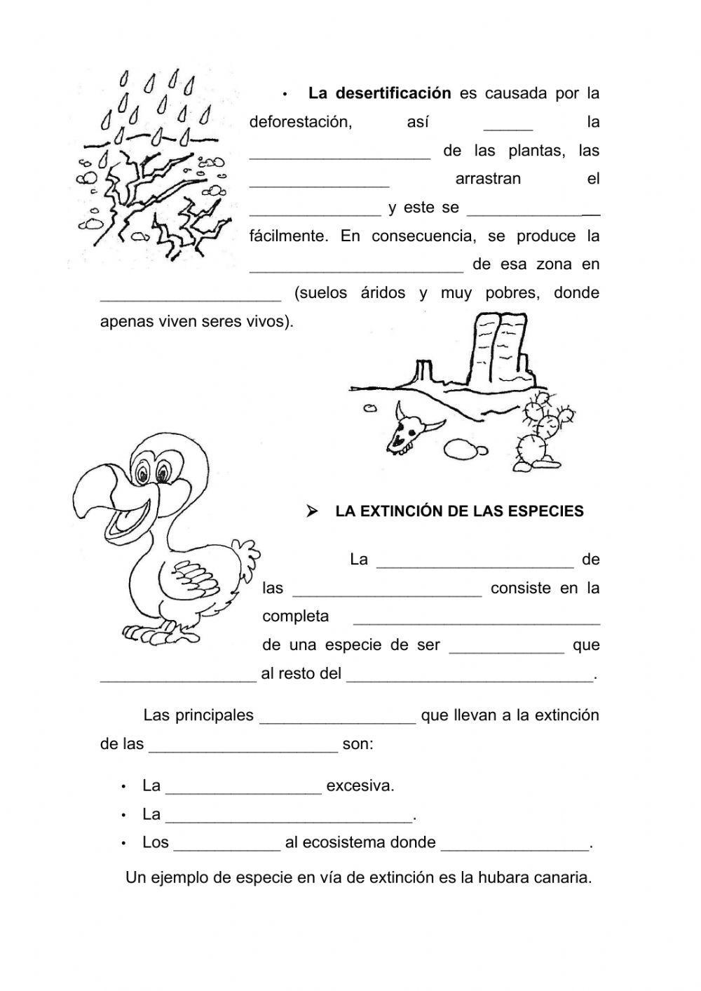 Los efectos de las personas sobre los ecosistemas