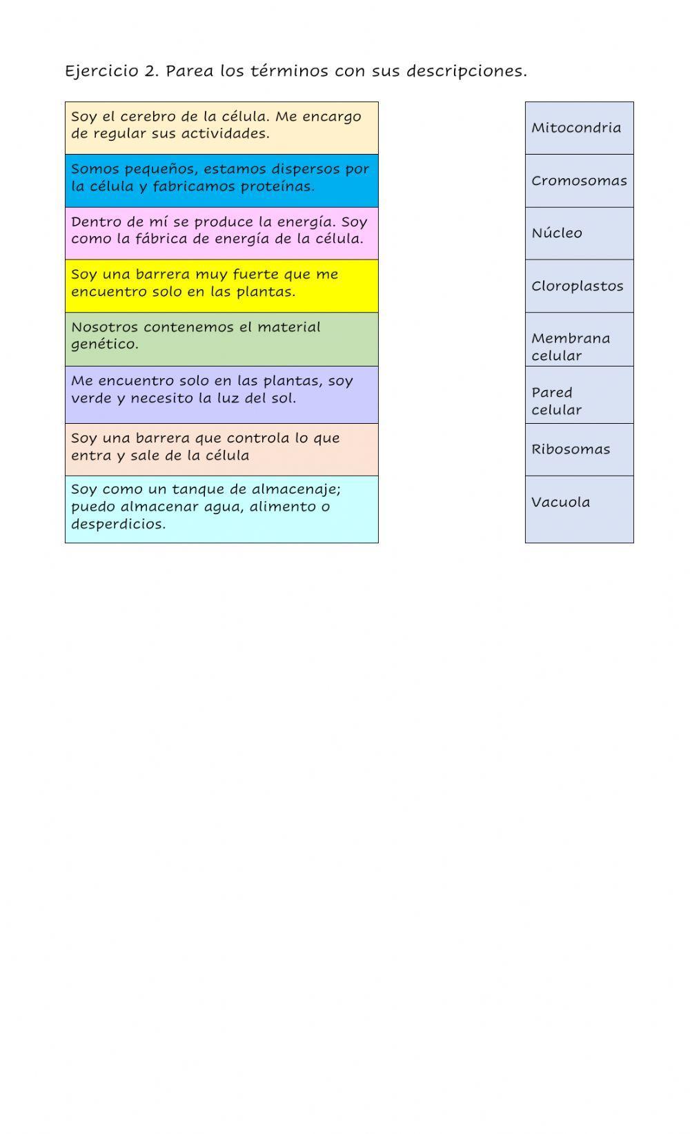 Partes de la célula