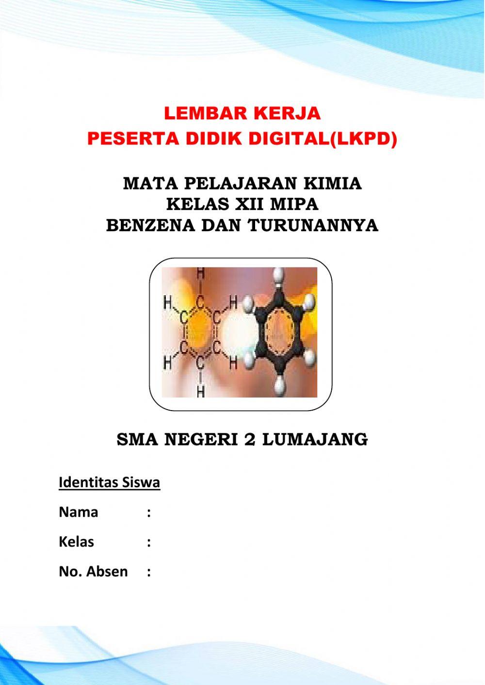 Lkpd digital kimia