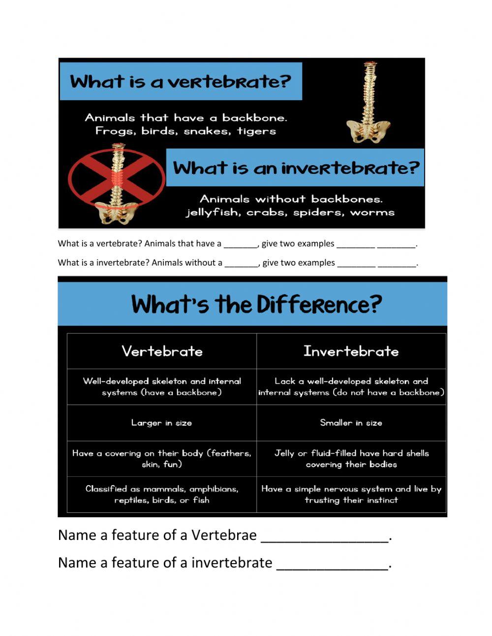 Vertebrates and invertebrates