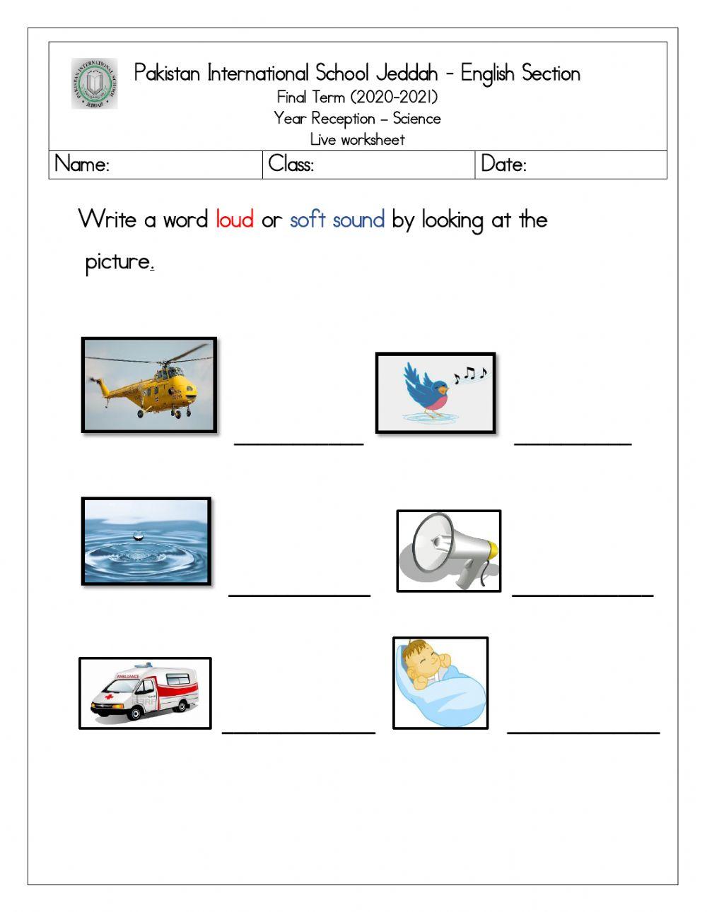 Science live worksheet sources of sound