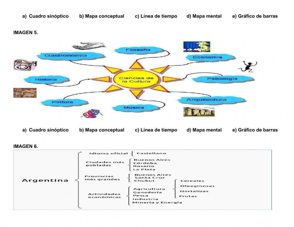 Tipos de apoyos gráficos
