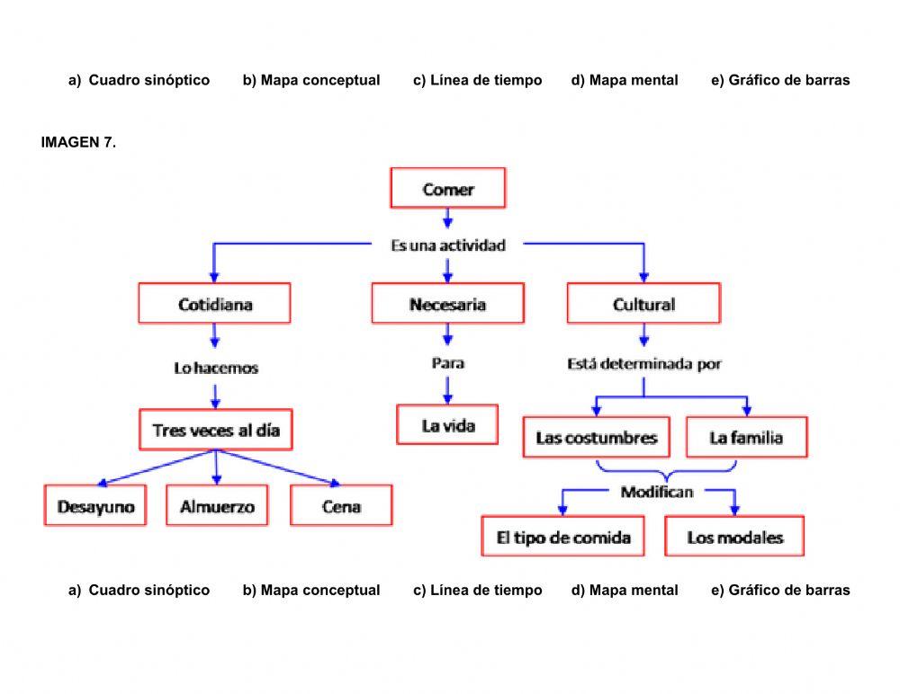Tipos de apoyos gráficos