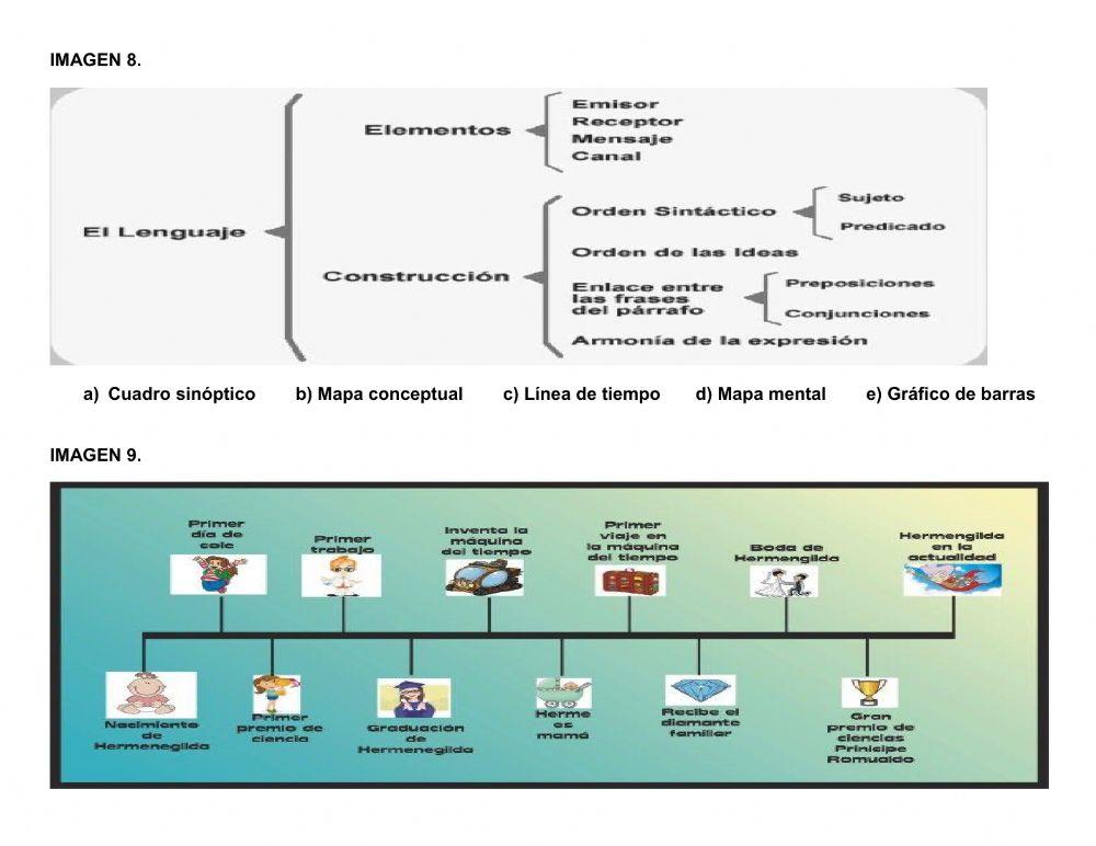 Tipos de apoyos gráficos