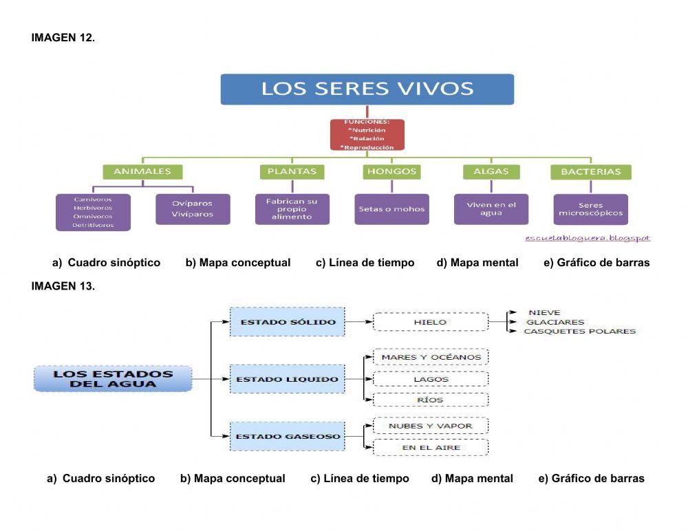 Tipos de apoyos gráficos