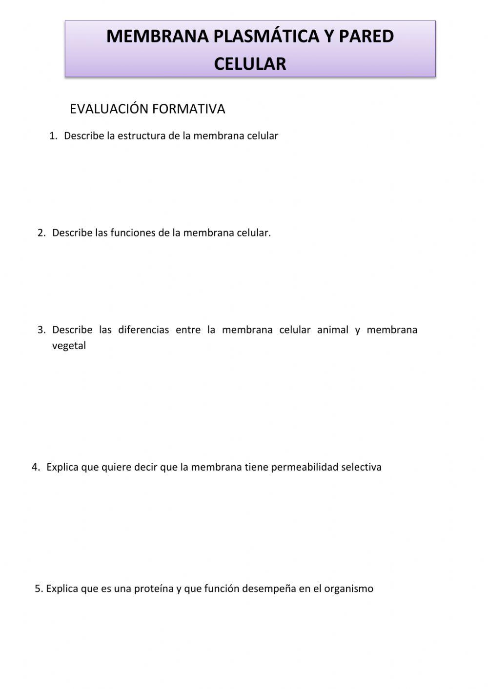 Evaluación ccnn