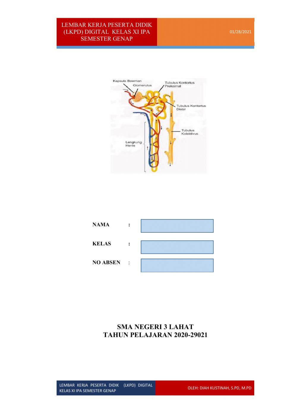 Lkpd digital proses pembuatan urine