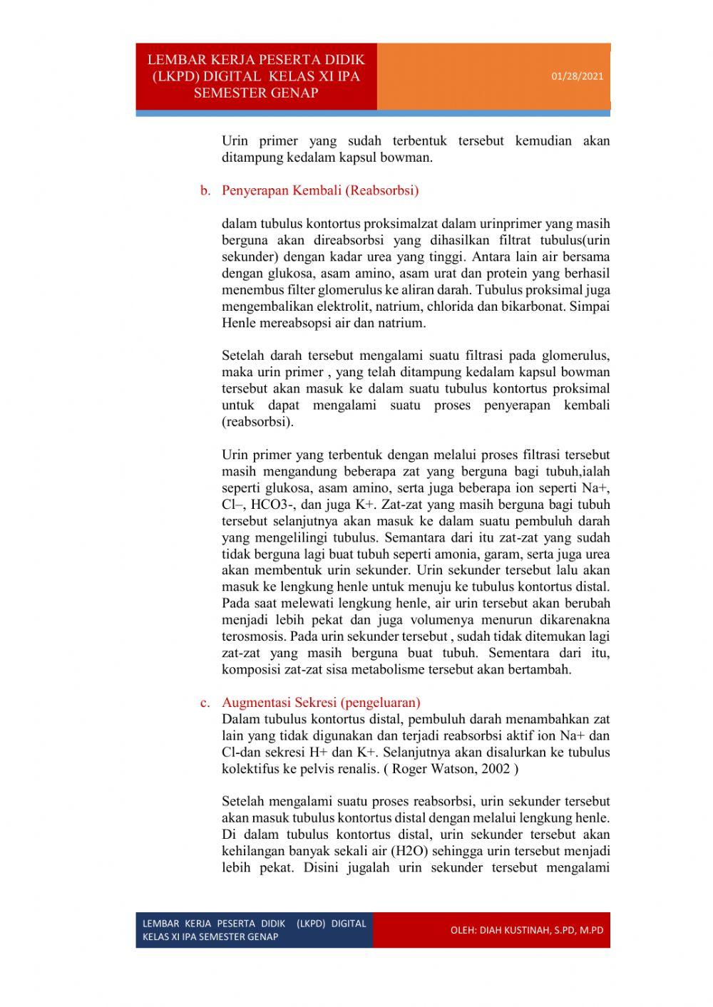 Lkpd digital proses pembuatan urine