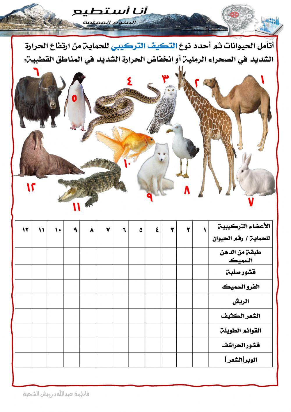 التكيف للغطاء