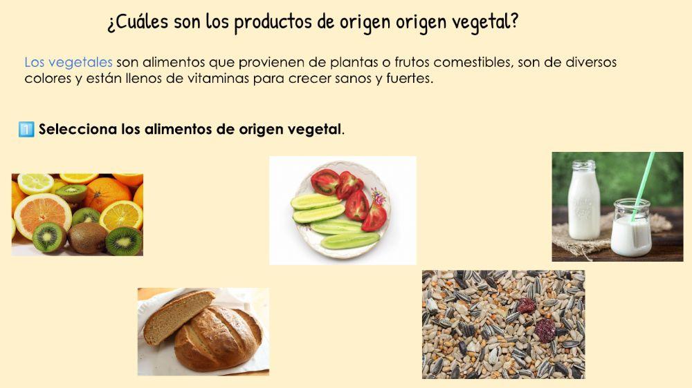Alimentos de origen vegetal