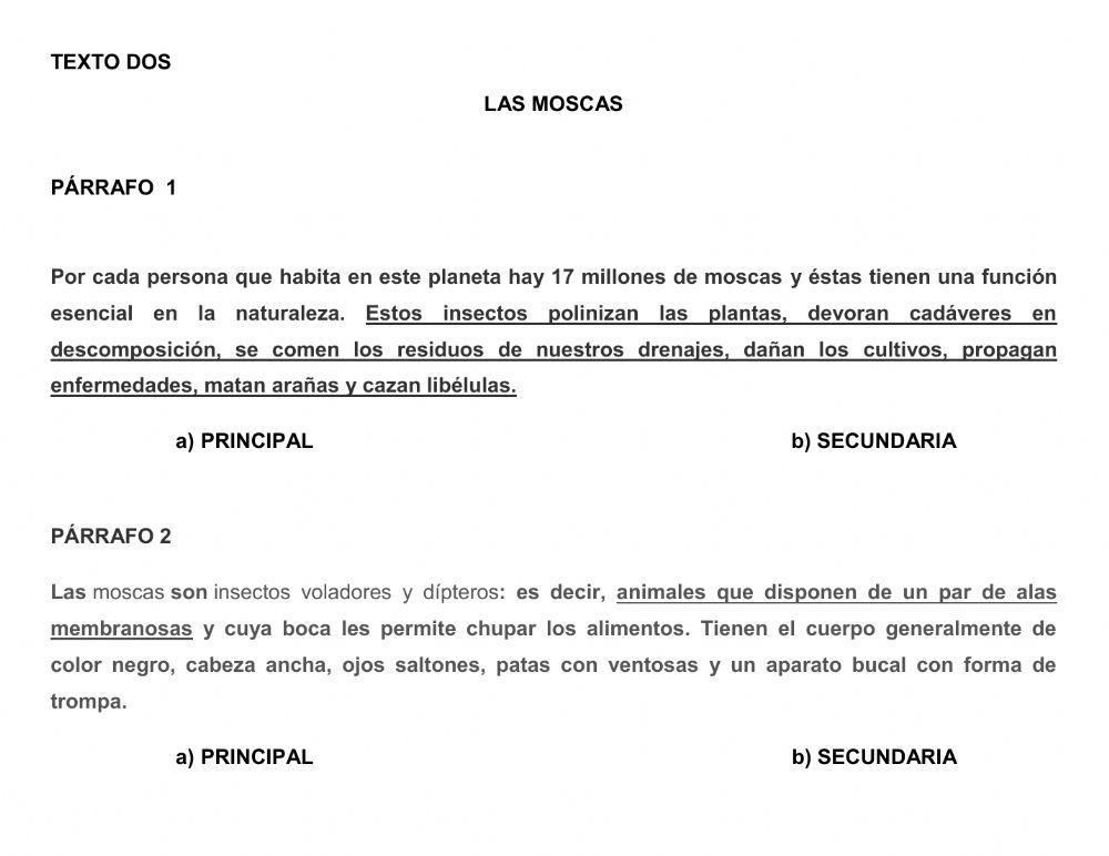 Ideas primarias y secundarias