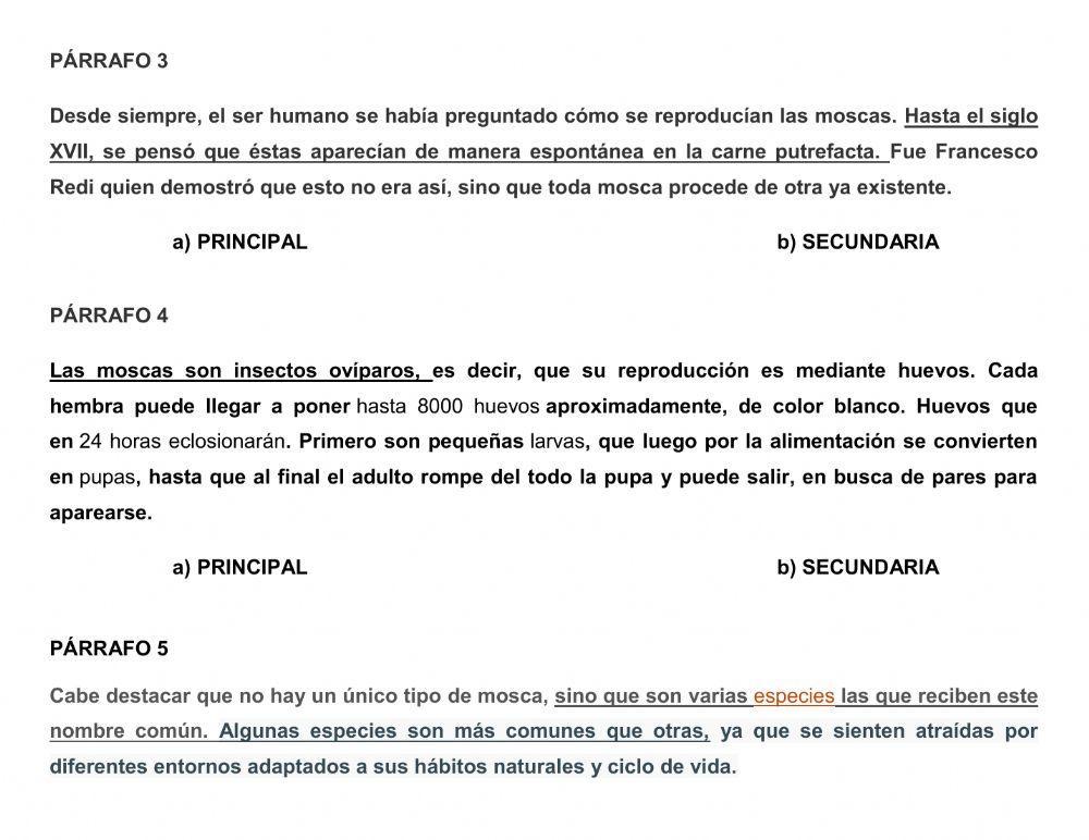 Ideas primarias y secundarias