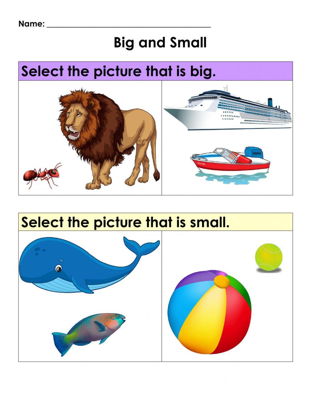 Maths Concepts: Big vs Small
