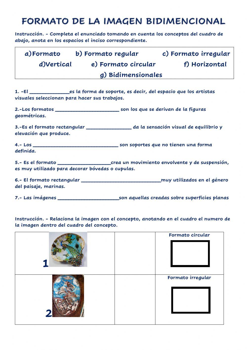 Formato de la imagen bidimencional