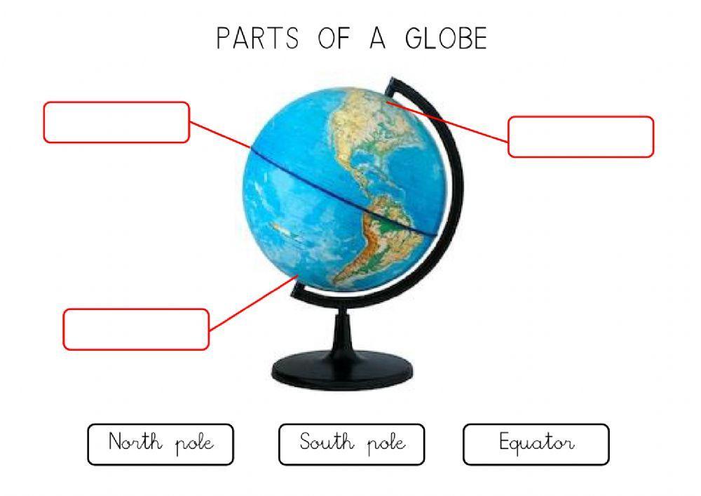 Parts of a globe