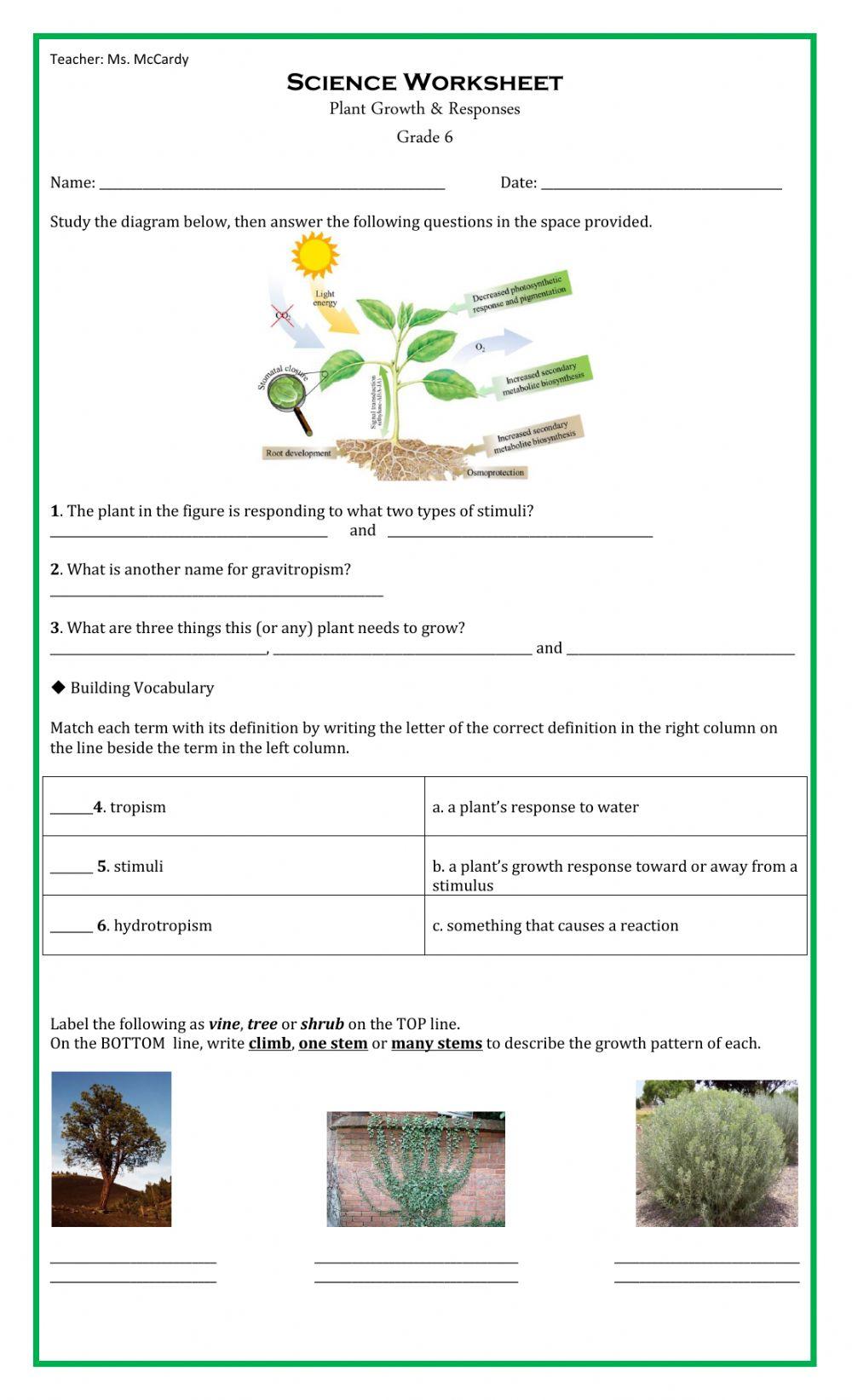 Plant Growth and Responses