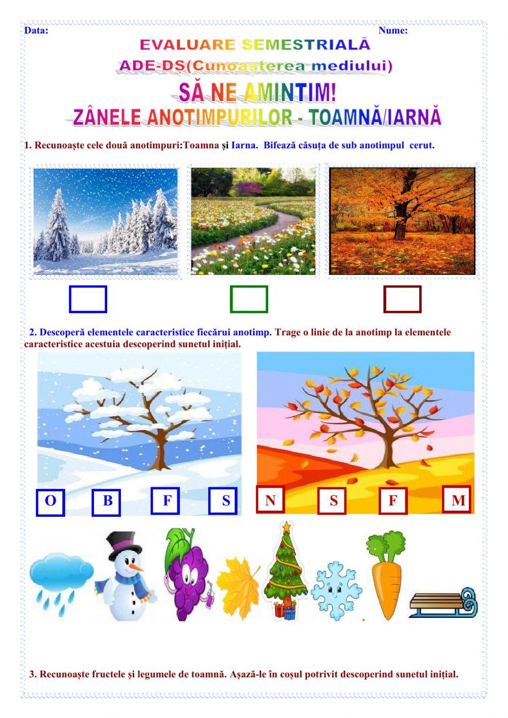 EVALUARE CUNOAȘTEREA MEDIULUI