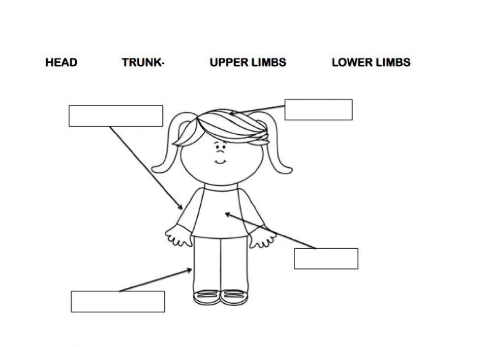 Parts of the body and bones