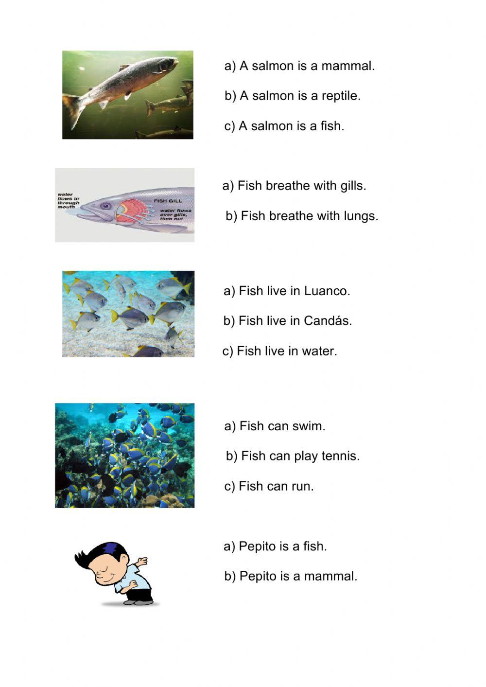 Fish (I) 2º