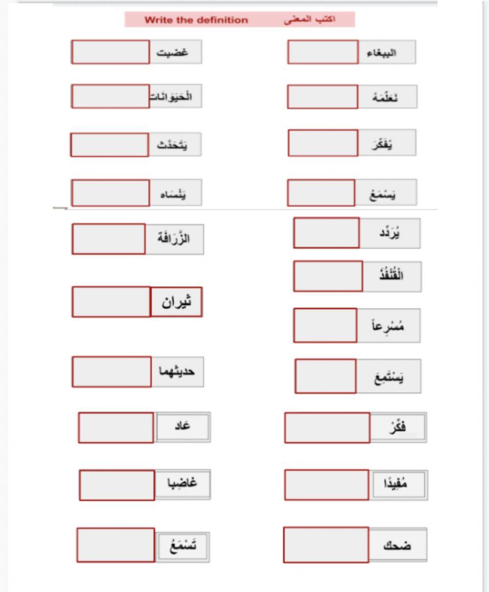 الببغاء الثرثار