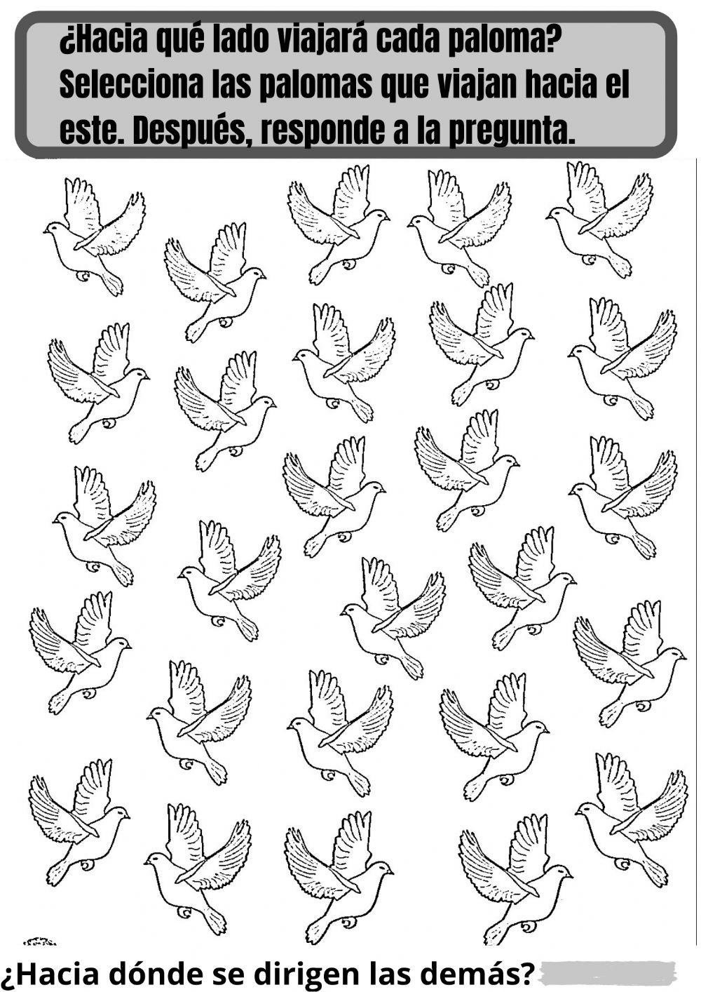 Percepción espacial y lateralidad